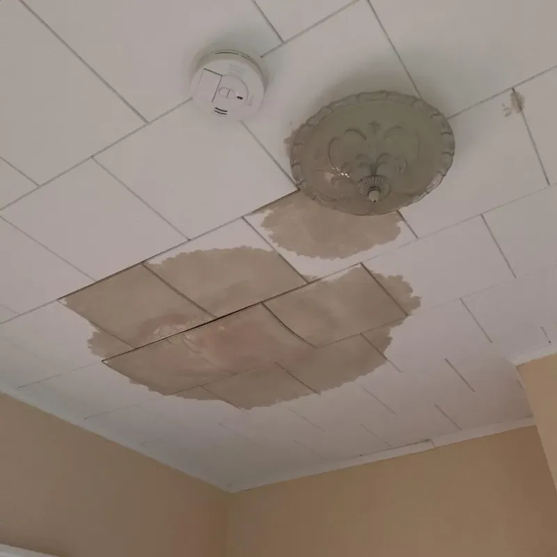 Ceiling Water Damage Repair in Pendleton County, WV